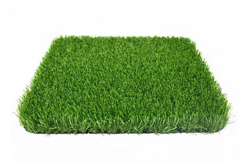 autumn grass