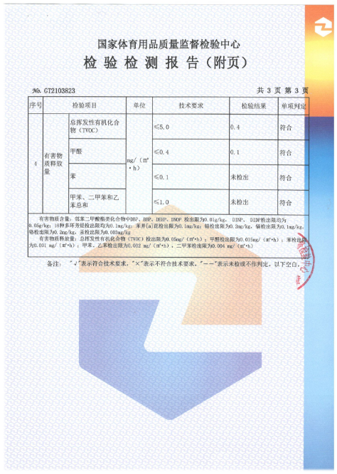 TEST REPORT