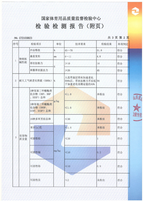 TEST REPORT